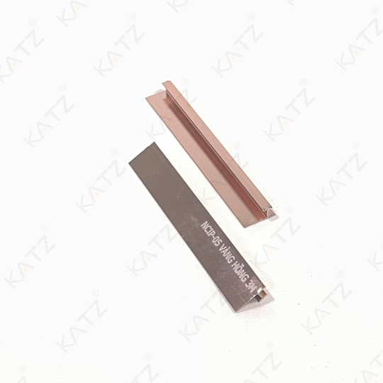 NCIP - 08